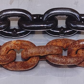 Convertidor de Oxido Renoxid - Imagen 9