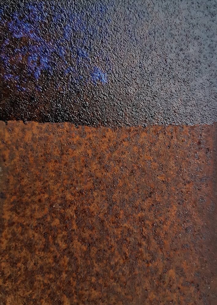 Convertidor de Oxido Renoxid - Imagen 3